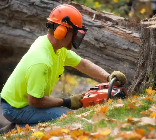 tree services Ontonagon